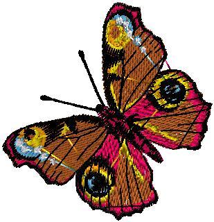 Motýl 7
