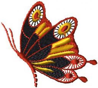 Motýlek 4