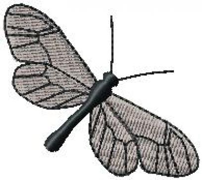 Motýl 4