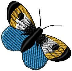 Motýl 1