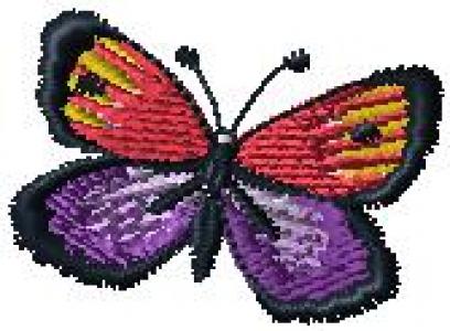 Motýl 3